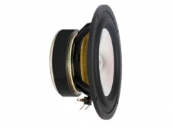 Ead E100 5,25' w grupie Audio domowe / DIY / Przetworniki głośnikowe u BRL (107E100)