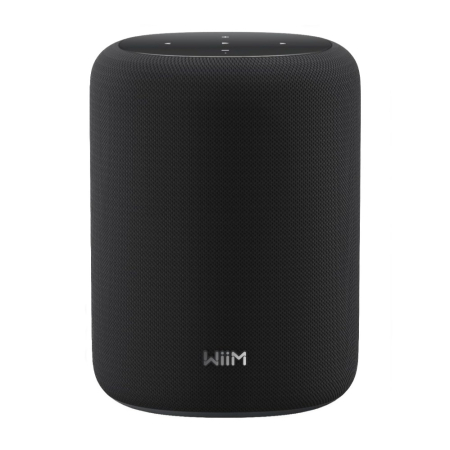 WiiM Sound Lite inteligentny głośnik, czarny w grupie Audio domowe / Głośniki / Inteligentne głośniki u BRL (312WIIMSOUNDLITEB)