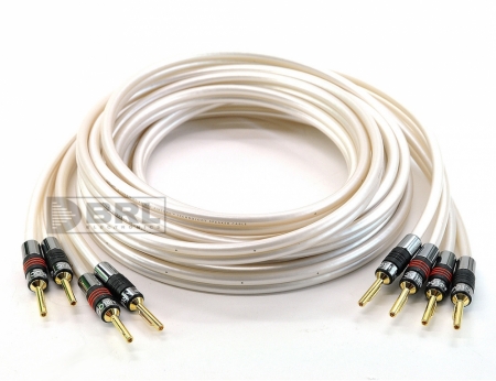 Qed Reference XT40 terminowany kabel głośnikowy w grupie Audio domowe / Kable / Kabel głośnikowy u BRL (400QE14XT40)