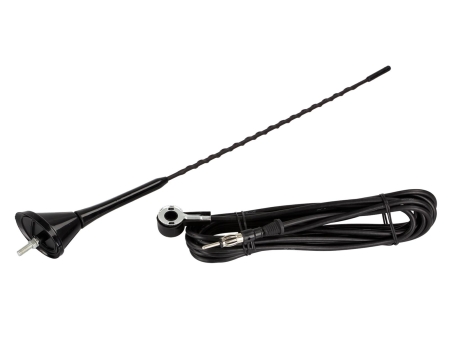 ACV Antena dachowa AM/FM pasywna, nachylenie 80° w grupie Car audio / Akcesoria / Anteny u BRL (70015100012)