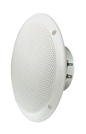 Visaton FR16WP 6.5-calowy głośnik morski w grupie Audio domowe / Głośniki / Głośniki zewnętrzne u BRL (8302116V)