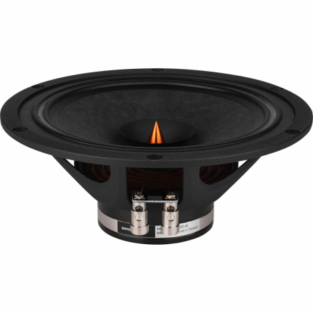 Dayton Audio PS220-8, 8-calowy pełnopasmowy głośnik Point Source w grupie Audio domowe / DIY / Przetworniki głośnikowe u BRL (860PS2208)