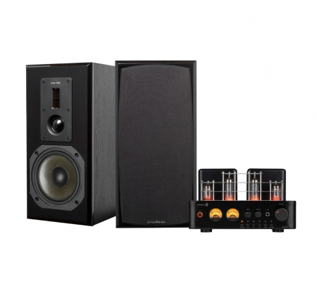 Dayton Audio HTA100 i Dynavoice DM-6II, czarny zestaw stereo w grupie Pakiety / Zestawy do domu / Zestawy stereo u BRL (SETHTA100PKT2)