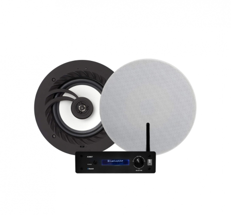 System One A50BT z Lithe Audio Passive IP44, pakiet do zabudowy w grupie Pakiety / Zestawy do domu / Zestawy stereo u BRL (SETPASSIVEIP44PKT1)