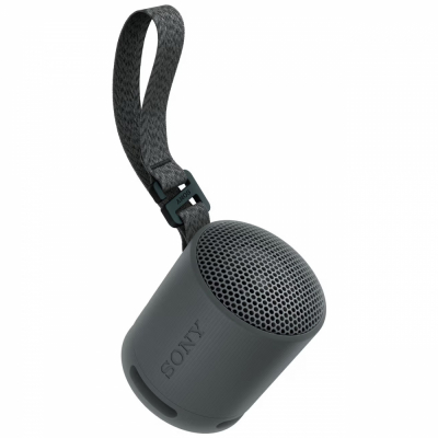 Sony SRS-XB100, przenośny głośnik, czarny