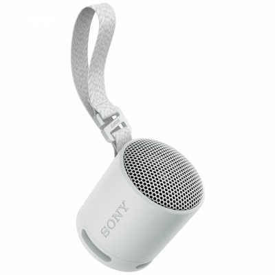 Sony SRS-XB100, przenośny głośnik, szary