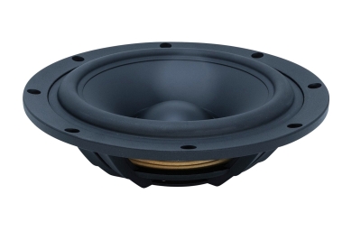 SB Acoustics SB29NRX-00, 10-calowy radiator pasywny