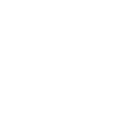 Logo DLS w kolorze białym.