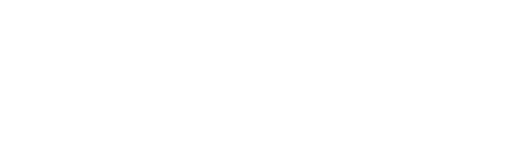 Logo NIZLED w kolorze białym.