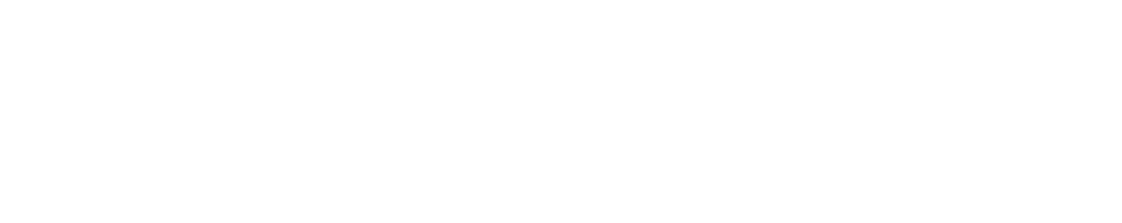 Logo Proson w kolorze białym.