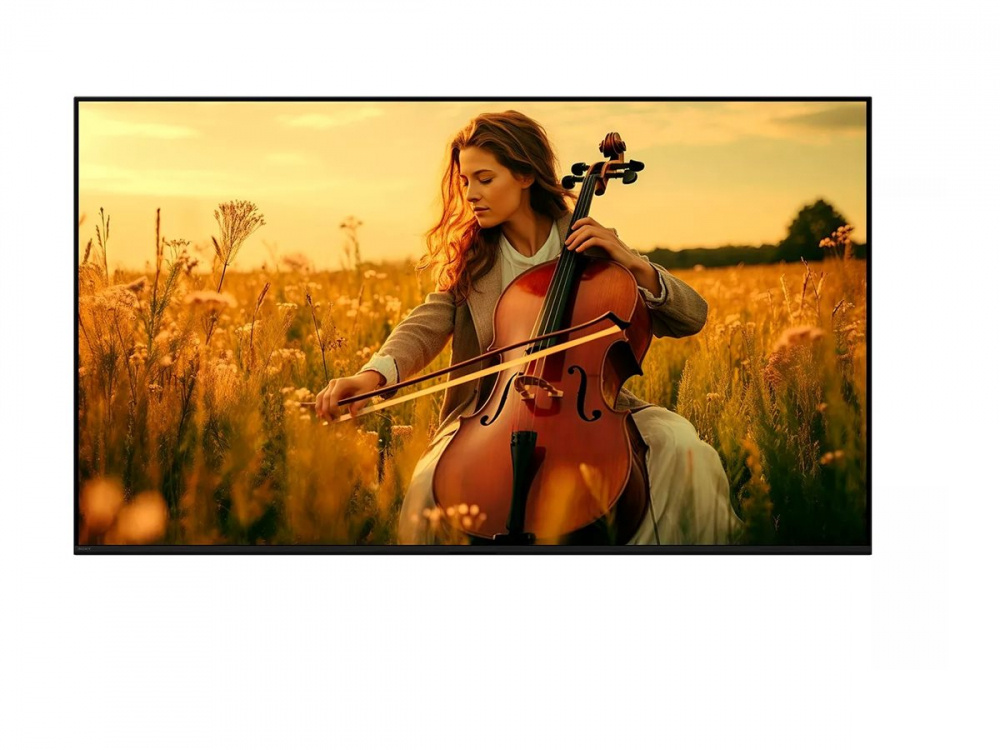 Sony Bravia 5 55