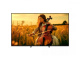 Sony Bravia 5 55 Sony Bravia 5 55
