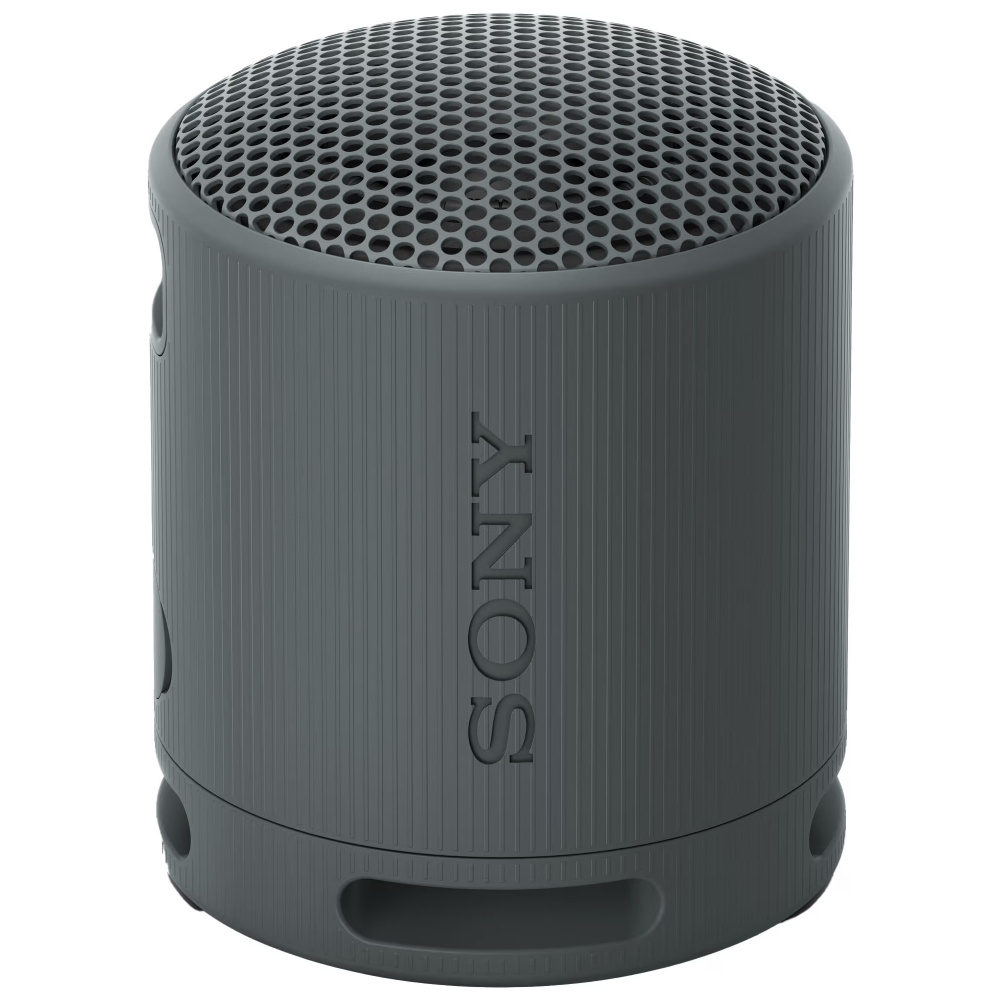 Sony SRS-XB100, przenośny głośnik, czarny