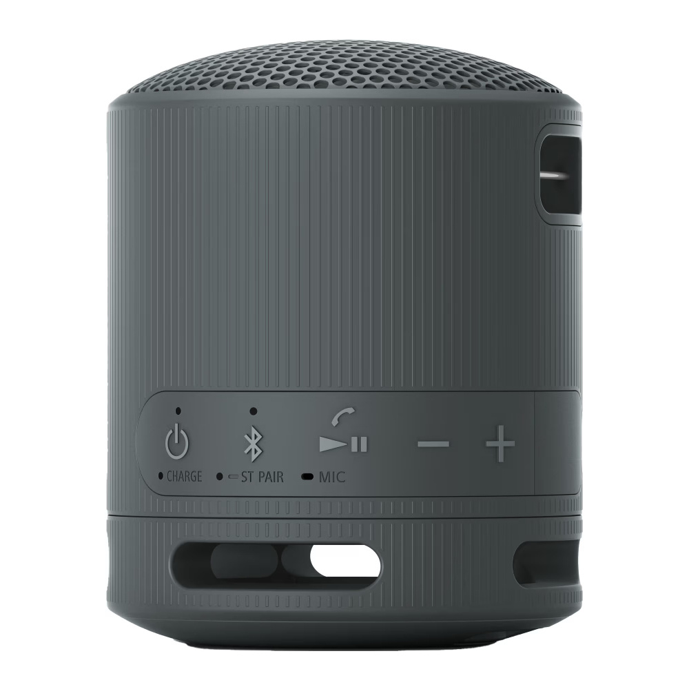 Sony SRS-XB100, przenośny głośnik, czarny