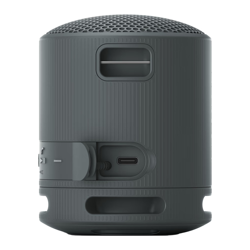 Sony SRS-XB100, przenośny głośnik, czarny