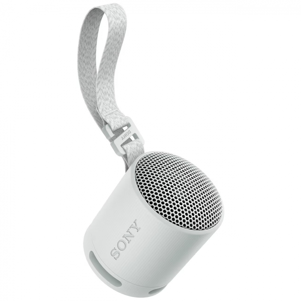 Sony SRS-XB100, przenośny głośnik, szary