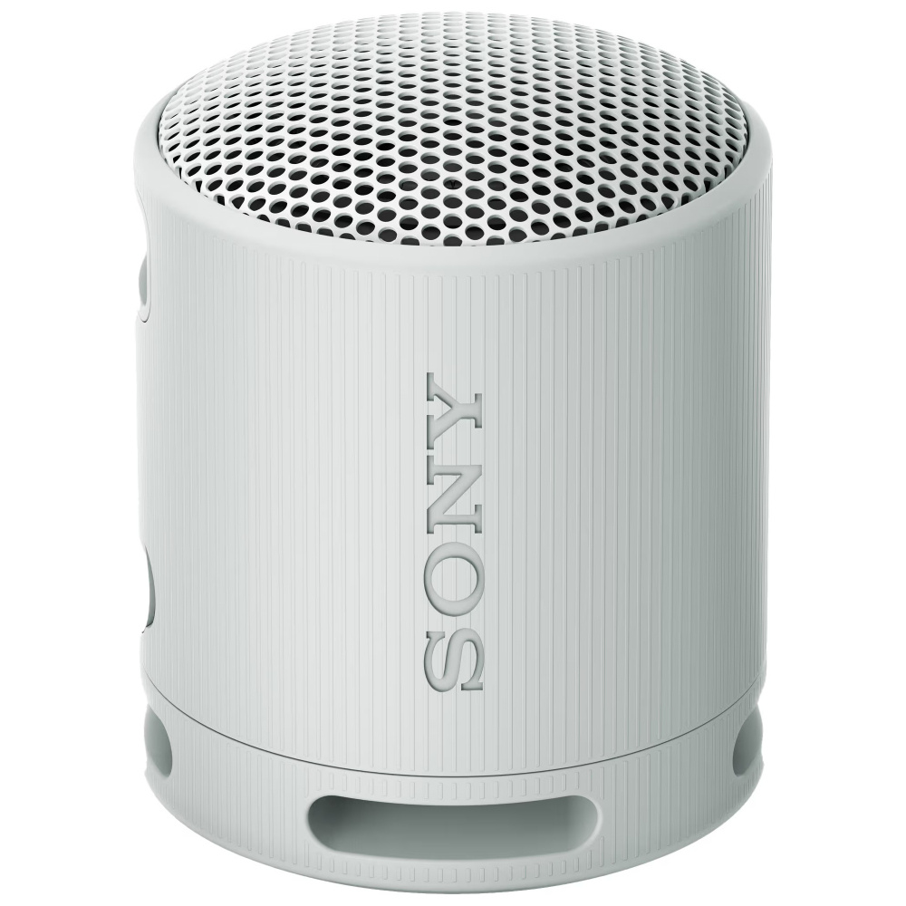 Sony SRS-XB100, przenośny głośnik, szary