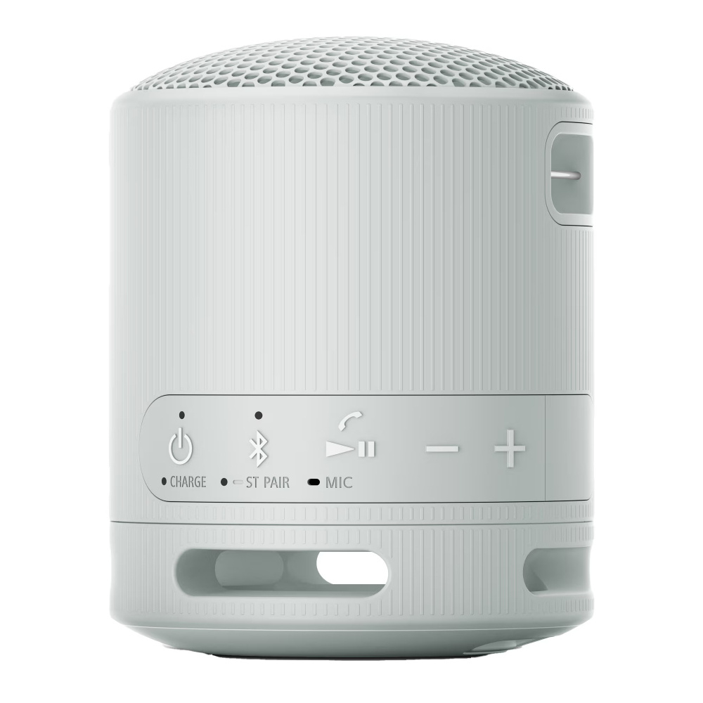 Sony SRS-XB100, przenośny głośnik, szary