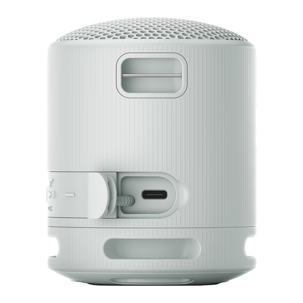 Sony SRS-XB100, przenośny głośnik, szary