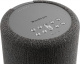 Audio Pro A10 MKII aktywny głośnik WiFi, ciemnoszary sztuka Audio Pro A10 MKII aktywny głośnik WiFi, ciemnoszary sztuka