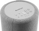 Audio Pro A10 MKII aktywny głośnik WiFi, jasnoszary sztuka Audio Pro A10 MKII aktywny głośnik WiFi, jasnoszary sztuka