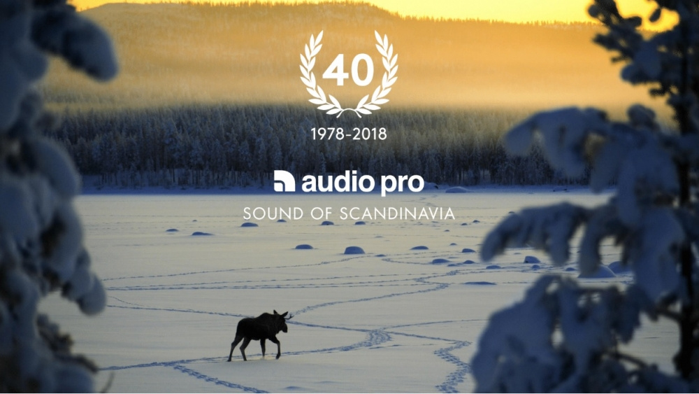 Audio Pro A36 kolumny podłogowe z Wifi i Bluetooth, czarna para