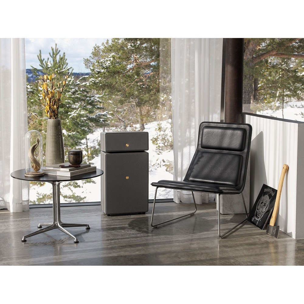 Audio Pro Drumfire II W głośnik Wi-Fi z Google Cast i AirPlay 2, szary