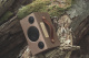 Audio Pro Addon T3+, głośnik Bluetooth Audio Pro Addon T3+, głośnik Bluetooth