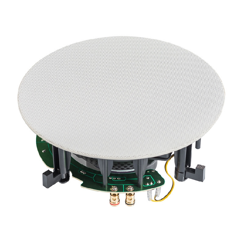Elipson Infinite IC8 głośnik instalacyjny, sztuka