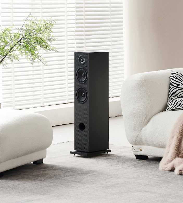 Elipson Horus 11F kolumna podłogowa Black/Carbon, para