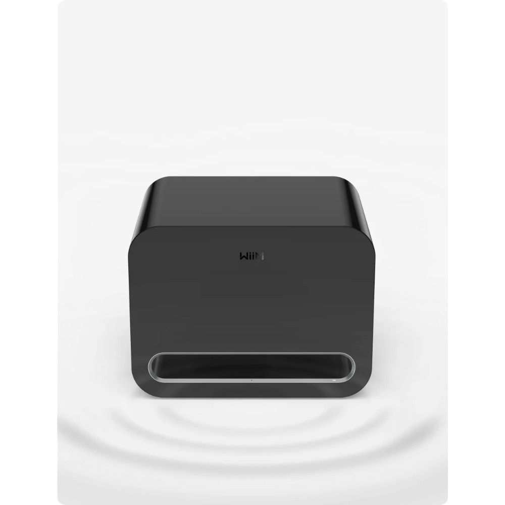 WiiM Sub Pro kompaktowy bezprzewodowy subwoofer, czarny