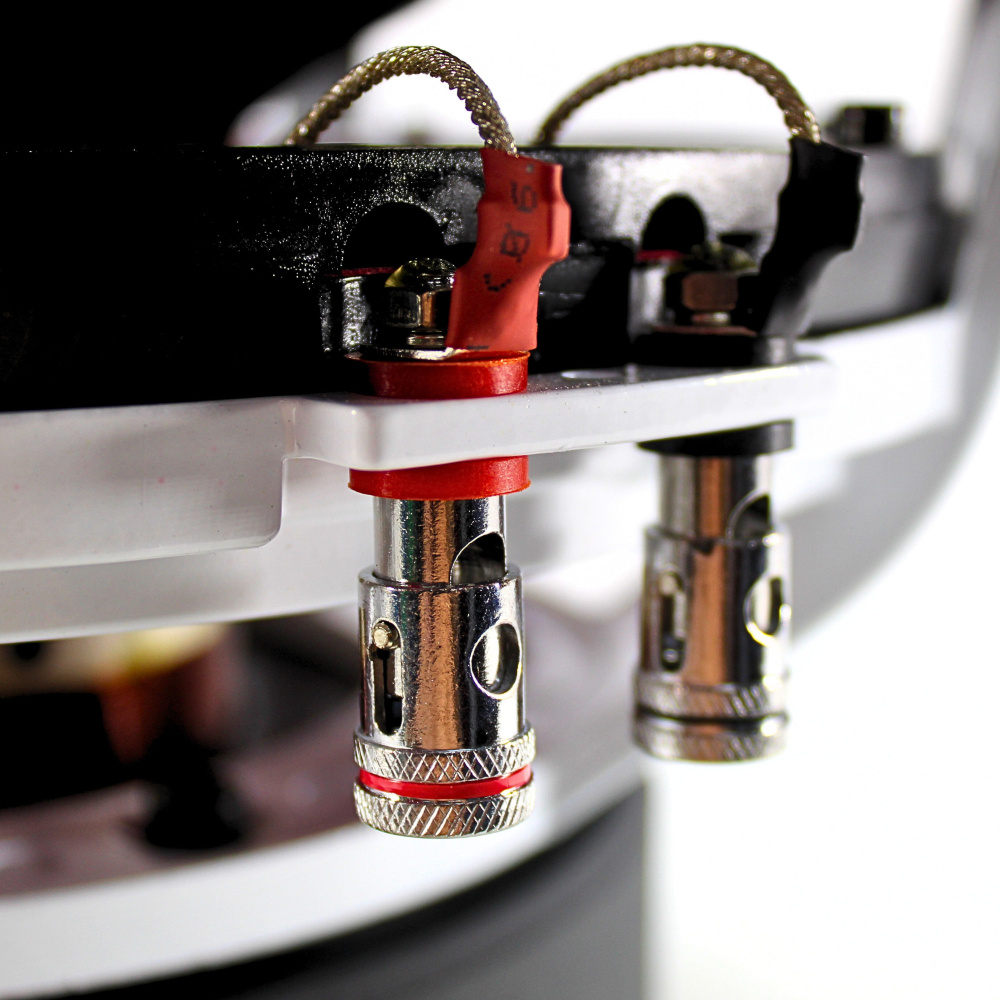B2 AUDIO RIOT D4 V2, 2x4 Ohm 12-calowy bas