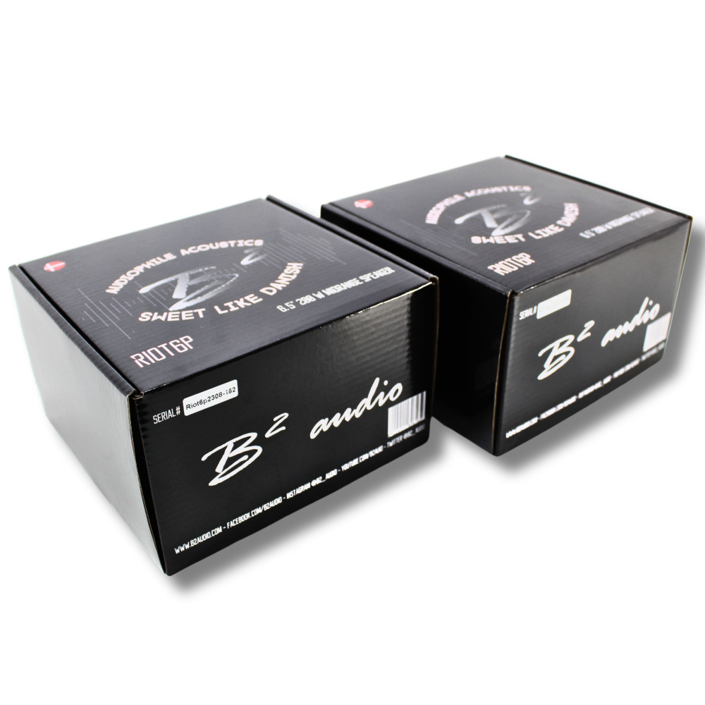 B² Audio RIOT 6P, 6,5-calowy midbas