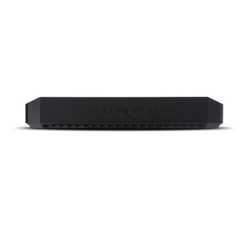 Rockford Fosgate P1000X2
