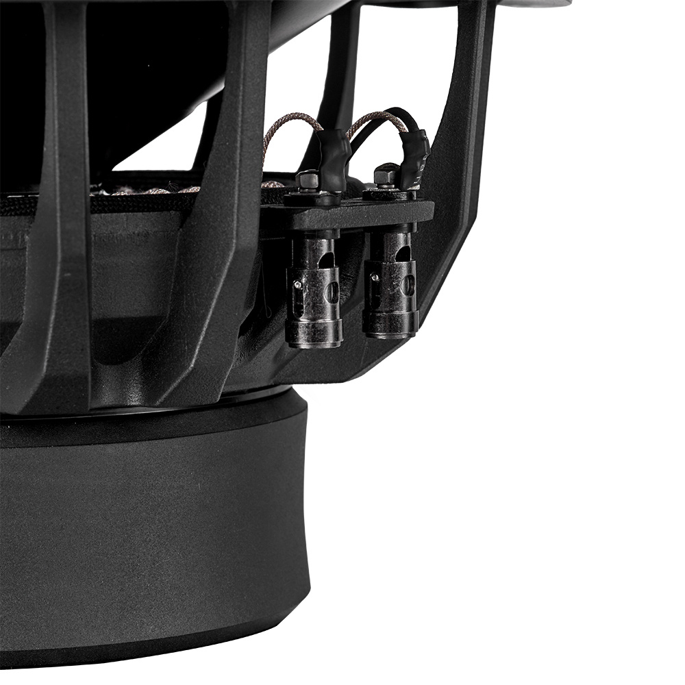 DLS Reference Supreme RSW10.D2, fantastyczny 10-calowy subwoofer