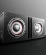 DS18 GEN-X210LD, wentylowana obudowa basowa 2x10 cali DS18 GEN-X210LD, wentylowana obudowa basowa 2x10 cali