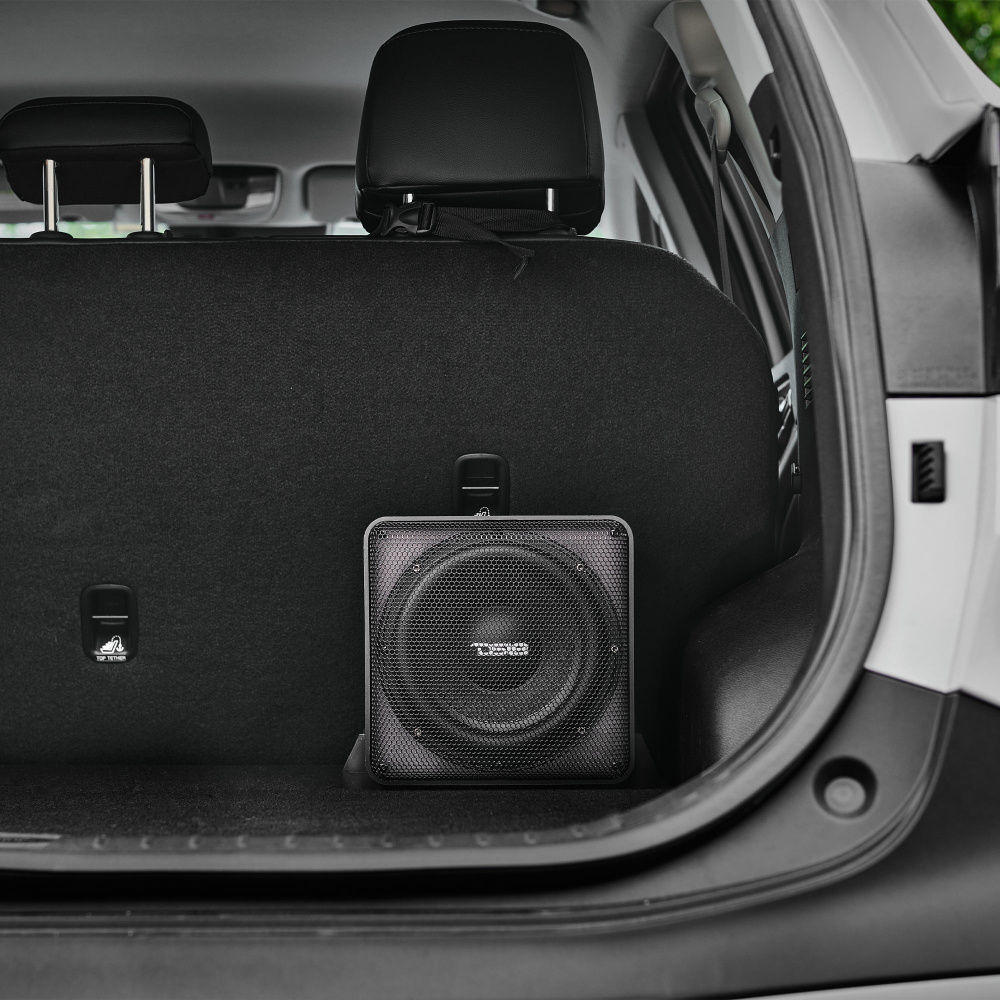 DS18 SQ82A, aktywny 8-calowy subwoofer i bierny radiator