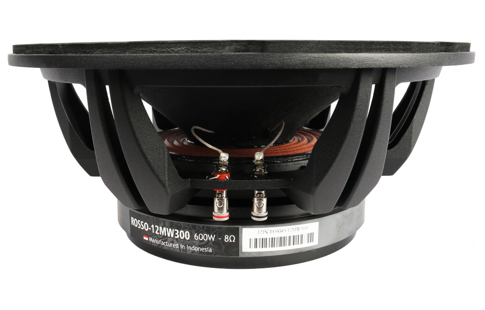 SB Audience Rosso-12MW300 12