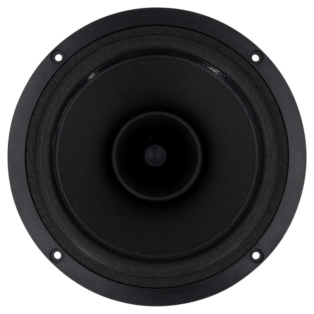 SB Acoustics SB16FRPC25-7, 6-calowy pełnopasmowy