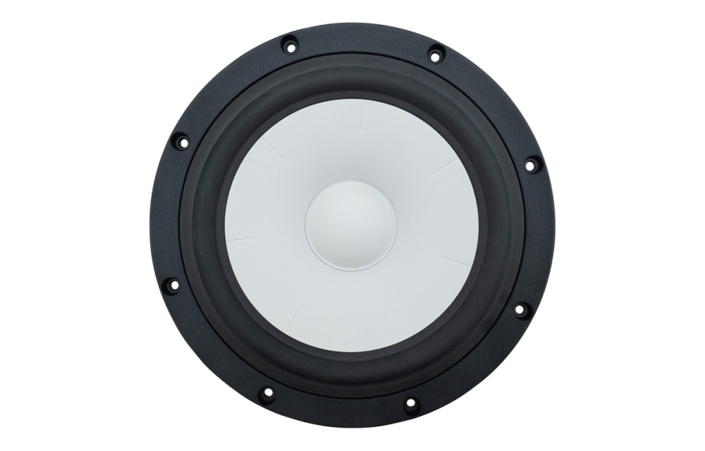 SB Acoustics SB23CACS45-4, 234 mm woofer/średniotonowy