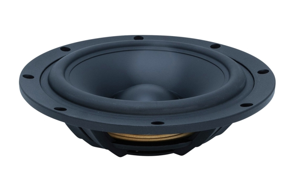 SB Acoustics SB29NRX-00, 10-calowy radiator pasywny