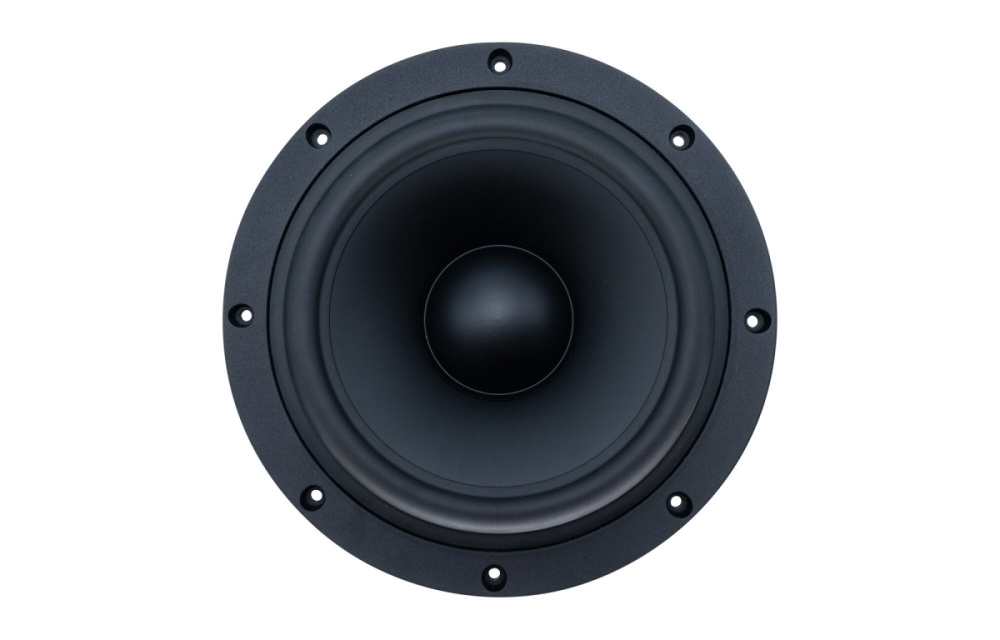 SB Acoustics SB29NRX-00, 10-calowy radiator pasywny
