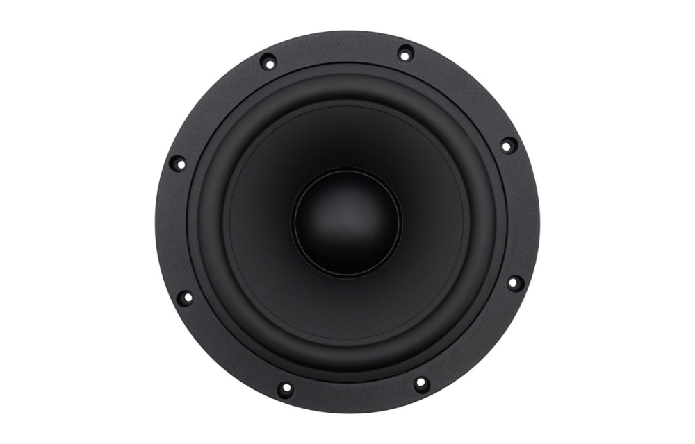 SB Acoustics SB29NRX2-00, 10-calowy radiator pasywny