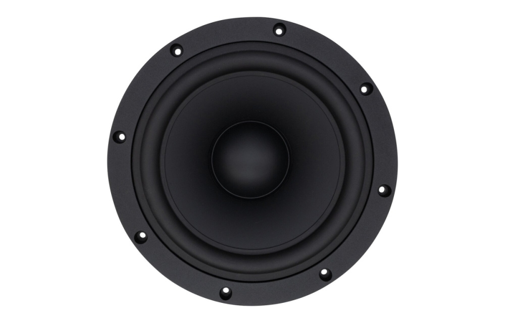 SB Acoustics SB29NRX75-6, 10-calowy głośnik niskotonowy