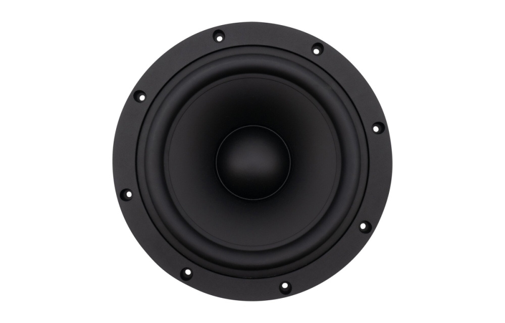 SB Acoustics SB29SWNRX-S75-6, 10-calowy głośnik niskotonowy