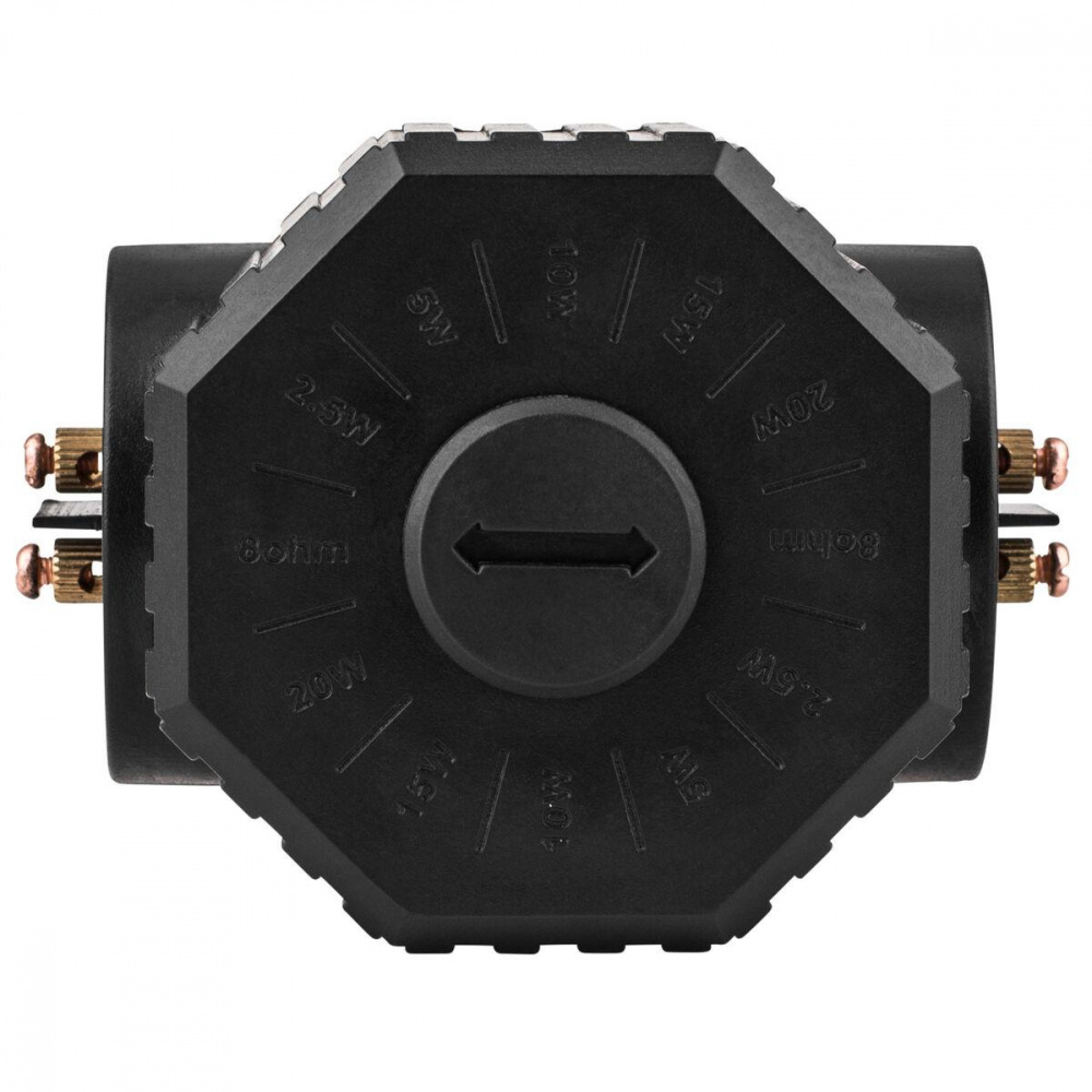 Dayton Audio WPT70V, transformator z 8 Ohm na 70/100 V