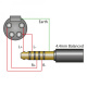 iFI Audio Pentaconn 4.4-XLR SE, kabel 4.4mm-XLR 1 metr iFI Audio Pentaconn 4.4-XLR SE, kabel 4.4mm-XLR 1 metr