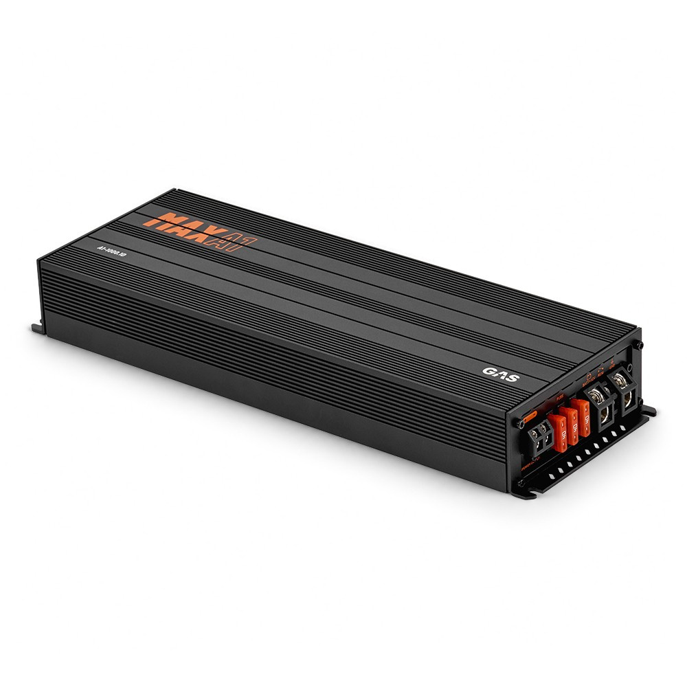 GAS MAX A1-1000.1D, monoblok