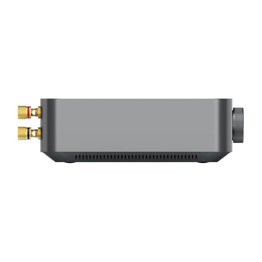 WiiM Amp Pro z SC4B i 2 pary DLS IC 824