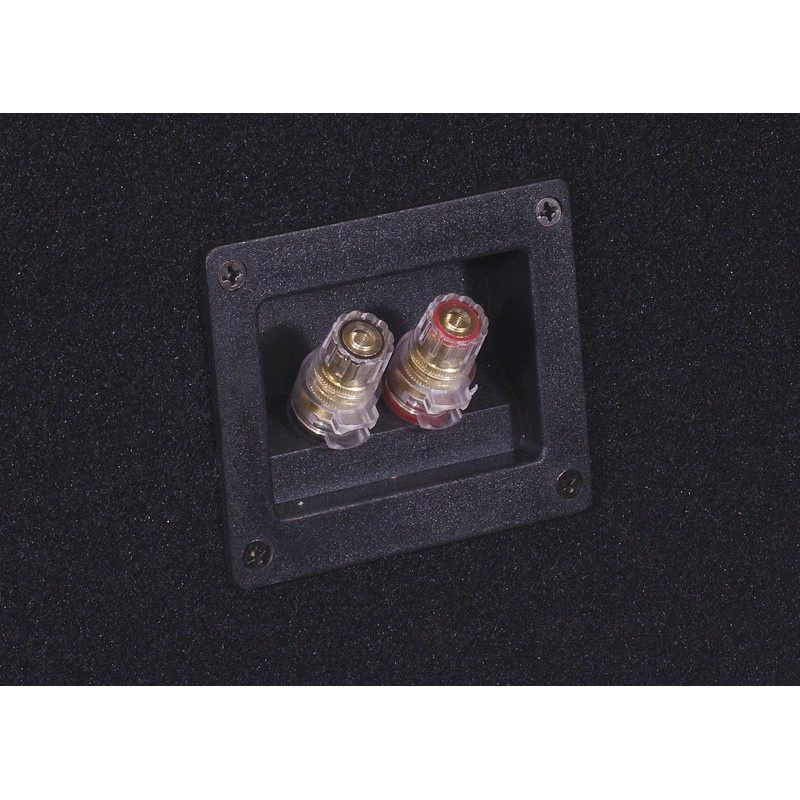 Bass Habit E300D2 w obudowie bass-reflex z SP31001FR, zestaw basowy 2x12